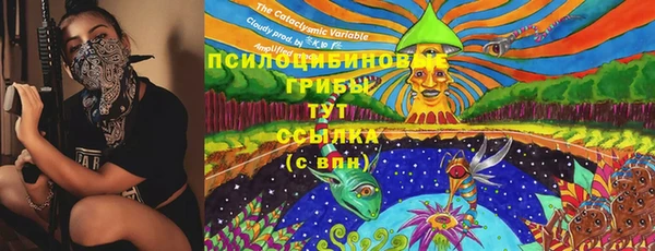 метадон Сафоново