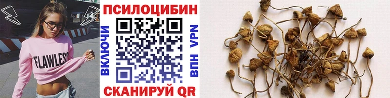 Галлюциногенные грибы мицелий  Каменск-Шахтинский 