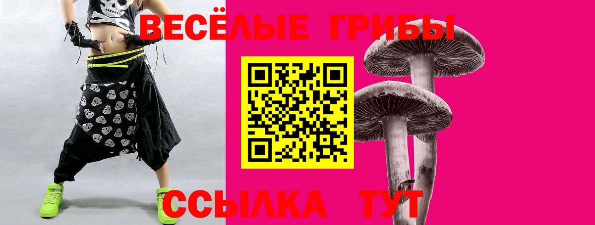 Каменск-Шахтинский  Галлюциногенные грибы мухоморы  купить   Вход с VPN 